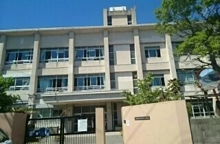 木本小学校様まで250m