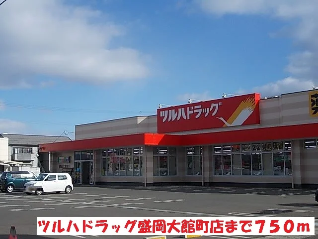 ツルハドラッグ盛岡大館町店まで750m