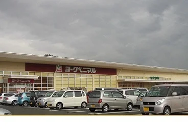 ヨークベニマル野田店まで1100m