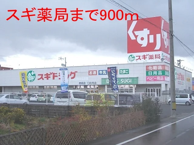 スギ薬局　穂積店まで900m