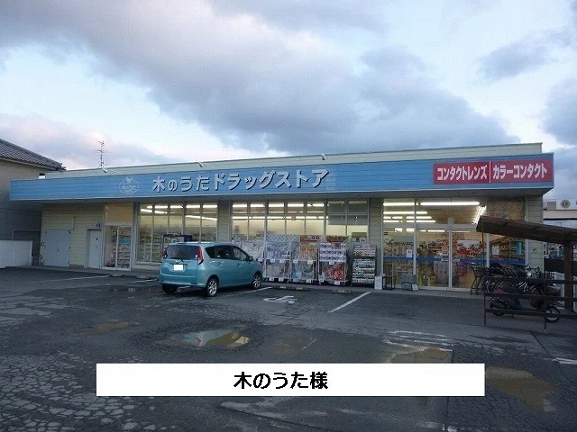 ドラッグストア木のうたまで1200m