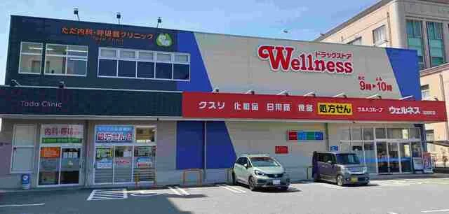ウェルネス 北田町店まで220m