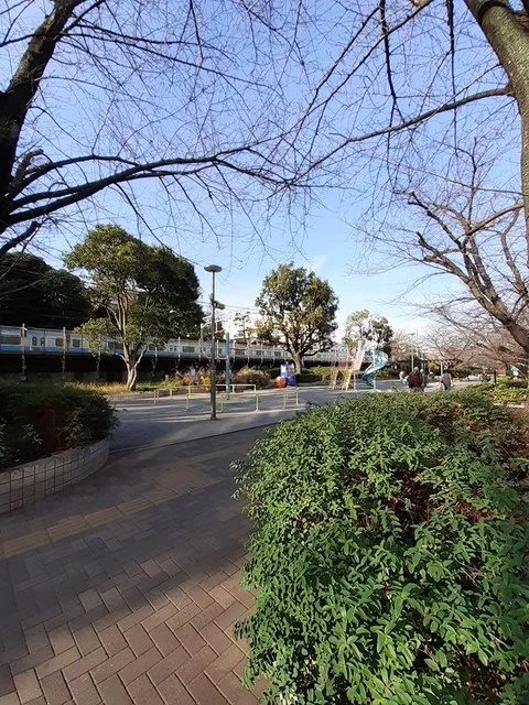 大井水神公園まで50m