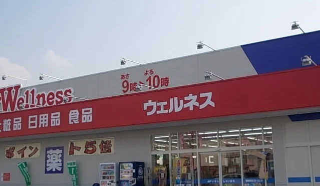 ウェルネス両三柳店まで850m