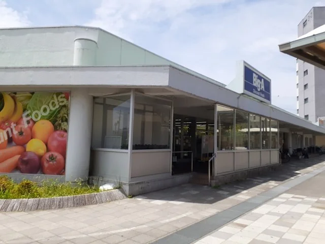 ビッグ・エー幸手団地店まで256m