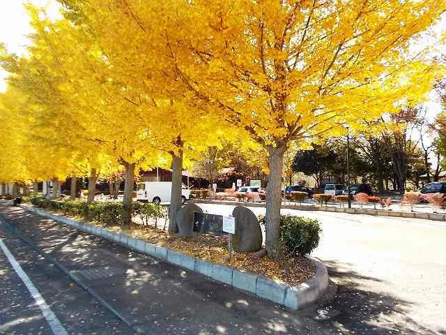 せせらぎ公園まで1300m