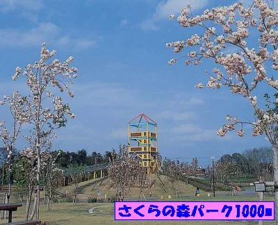 さくらの森パークまで1000m