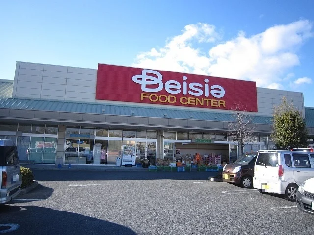 ベイシアあかぼりモール店まで2300m