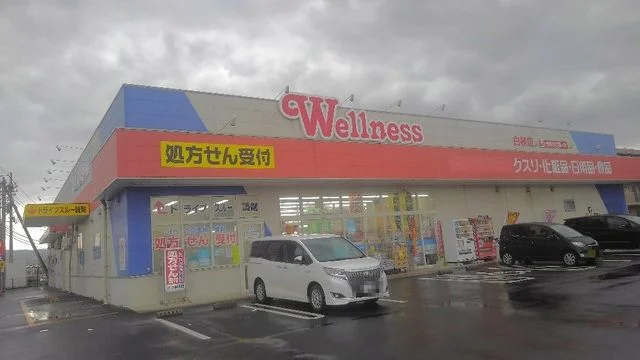 ウェルネス白枝店まで1400m