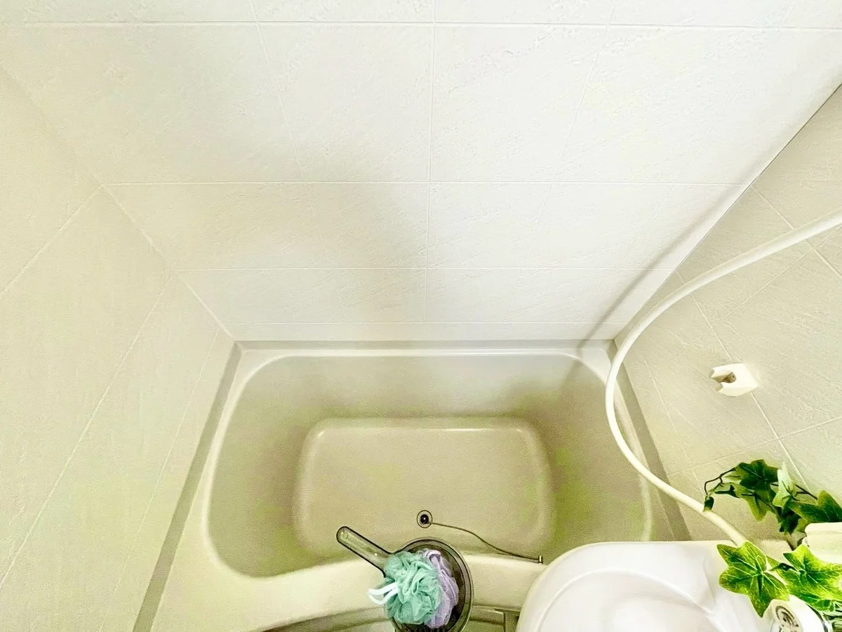 ※撮影用の観察植物・食器調理器具・雑貨類等はございません。※写真は現況優先