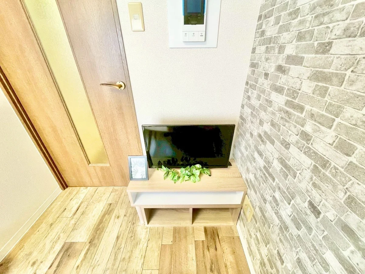 ※撮影用の観察植物・食器調理器具・雑貨類等はございません。※写真は現況優先