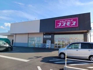 ドラッグストアコスモス 岡崎駅まで400m