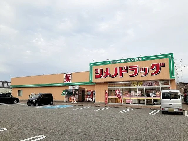 シメノドラック高柳店まで650m