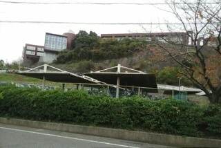 智辯学園和歌山様まで900m