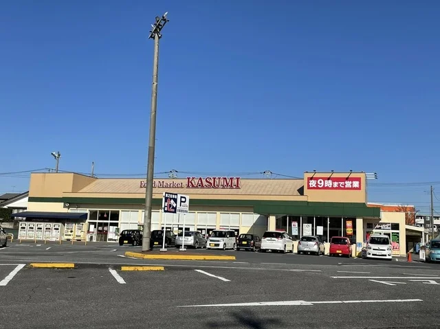カスミ高津店まで1300m