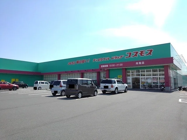 コスモス向島店まで310m