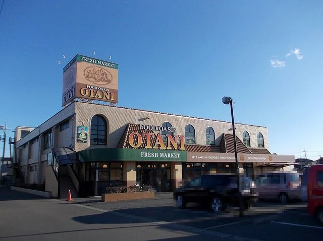 オータニ 氏家店まで1700m