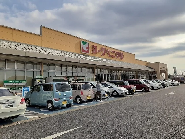 ヨークベニマル細谷店まで800m