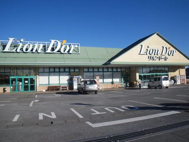 リオン・ドール高根沢東店まで150m