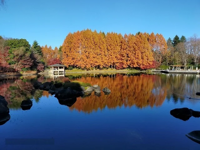 中央公園まで500m