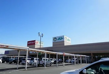 ベリーまで1000m