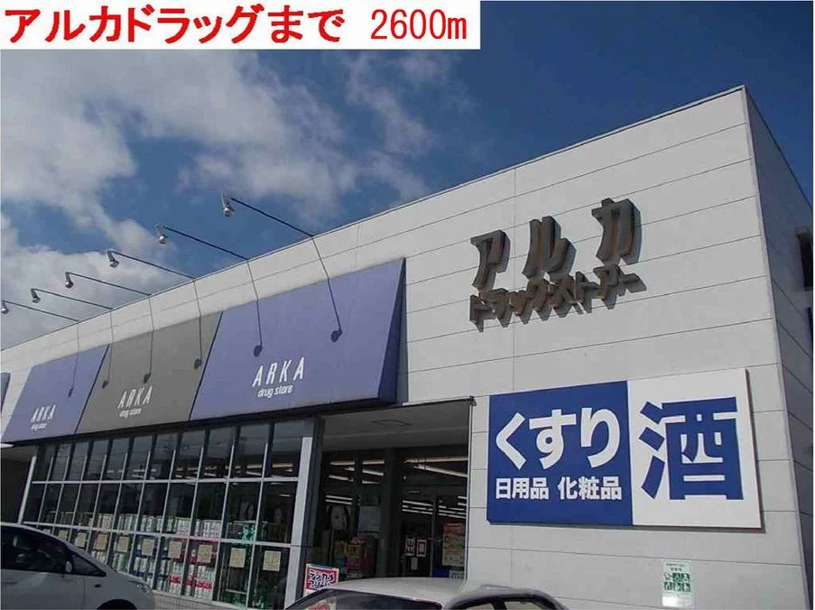 アルカドラッグまで2600m