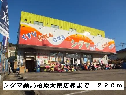 シグマ薬局柏原大県店様まで220m