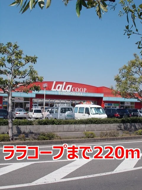 ララコープまで220m