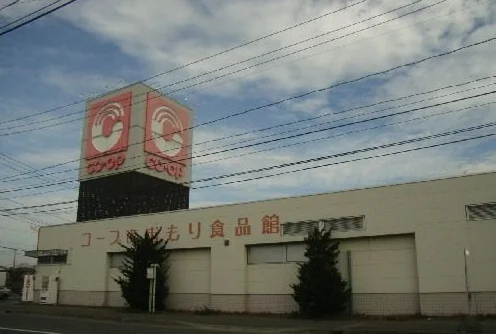 コープあおもりるいけ店まで300m