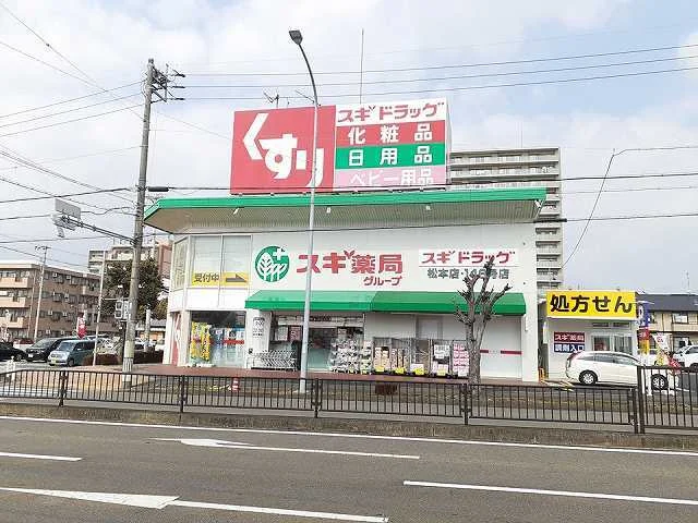 スギ薬局　犬山松本店まで300m