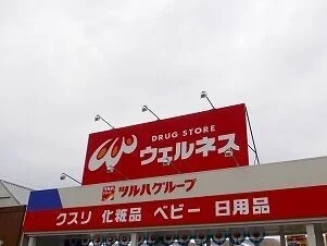 ウェルネスまで600m