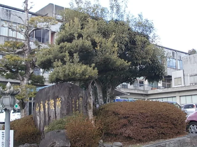 山鹿市役所まで1300m