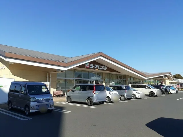 ヨークベニマル新原店まで1100m