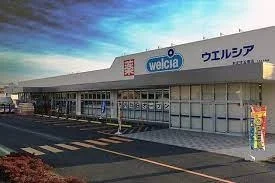 ウエルシア児玉南店まで1100m