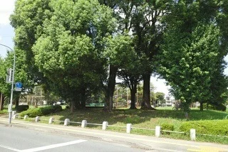 秋津中央公園まで1220m