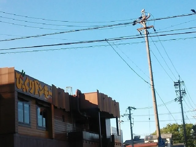 びっくりドンキーまで200m