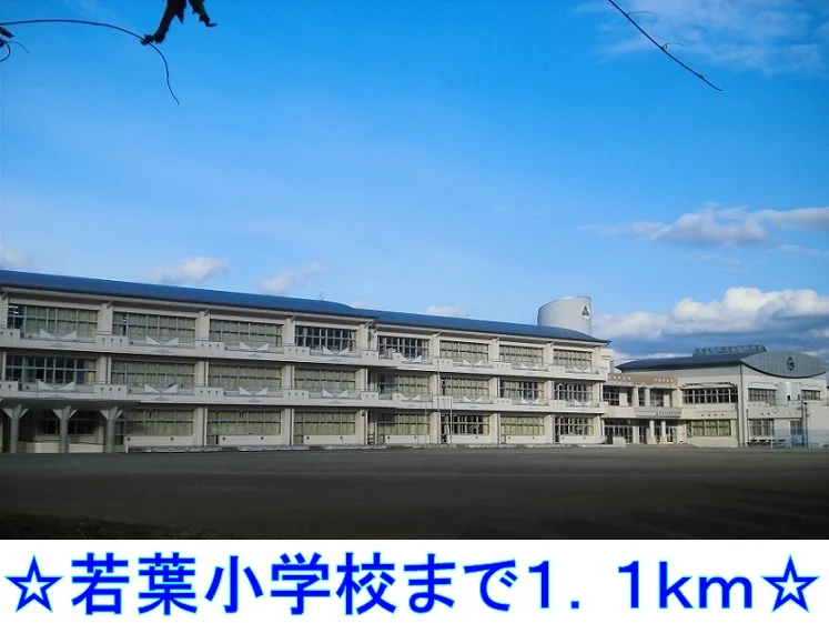 若葉小学校まで1100m