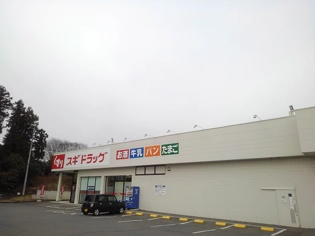スギドラッグ安中店まで300m