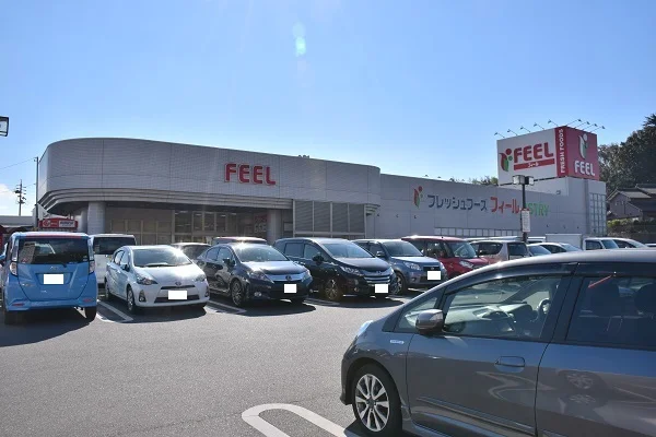 フィールアストリーまで450m