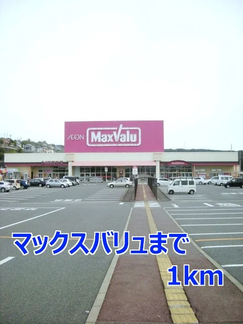 マックスバリュまで1000m