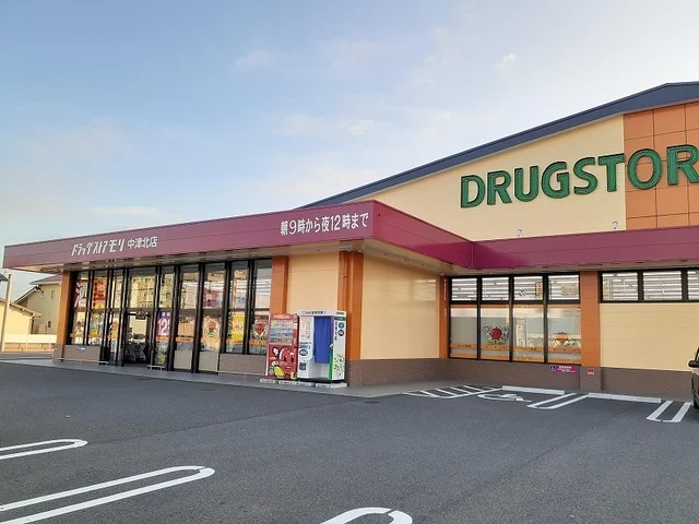 ドラモリ中津北店まで850m