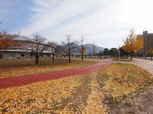 三萩野公園・メディアドームまで300m