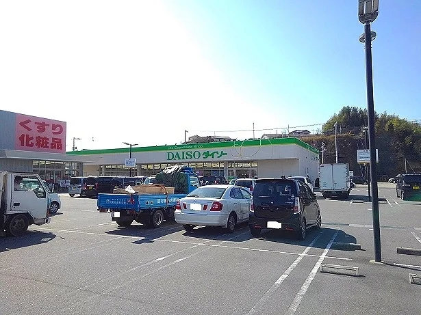 ダイソー向島店まで1200m