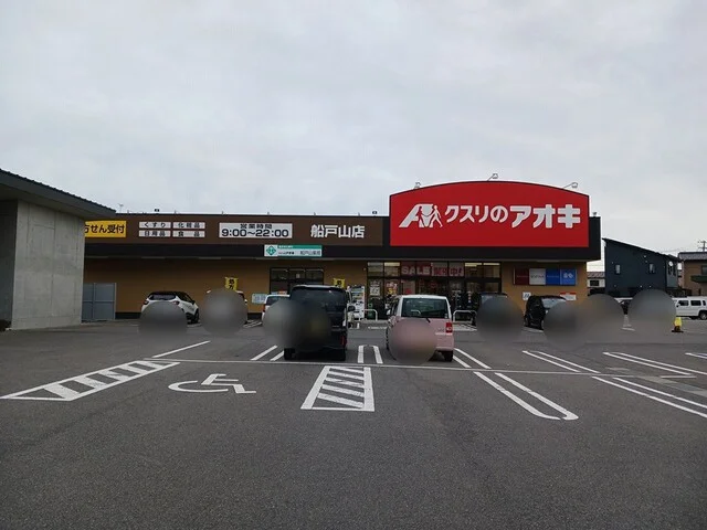 クスリのアオキ船戸山店まで1100m