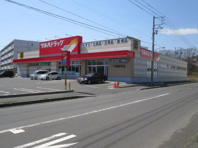 ツルハドラッグまで1300m