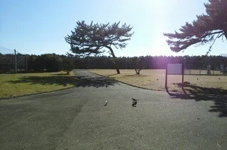 湘南海岸公園まで650m