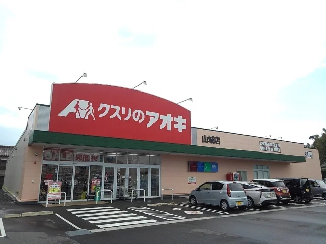 クスリのアオキ山城店まで500m