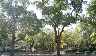 高松中央公園まで1000m