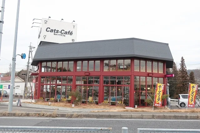 キャッツカフェまで600m