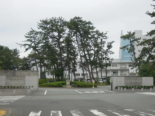 東海大学海洋学部まで1400m